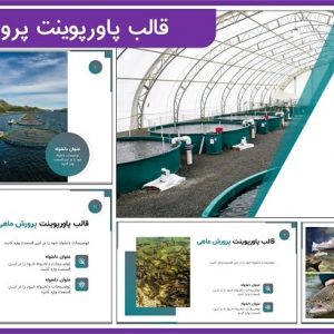 قالب پاورپوینت پرورش ماهی